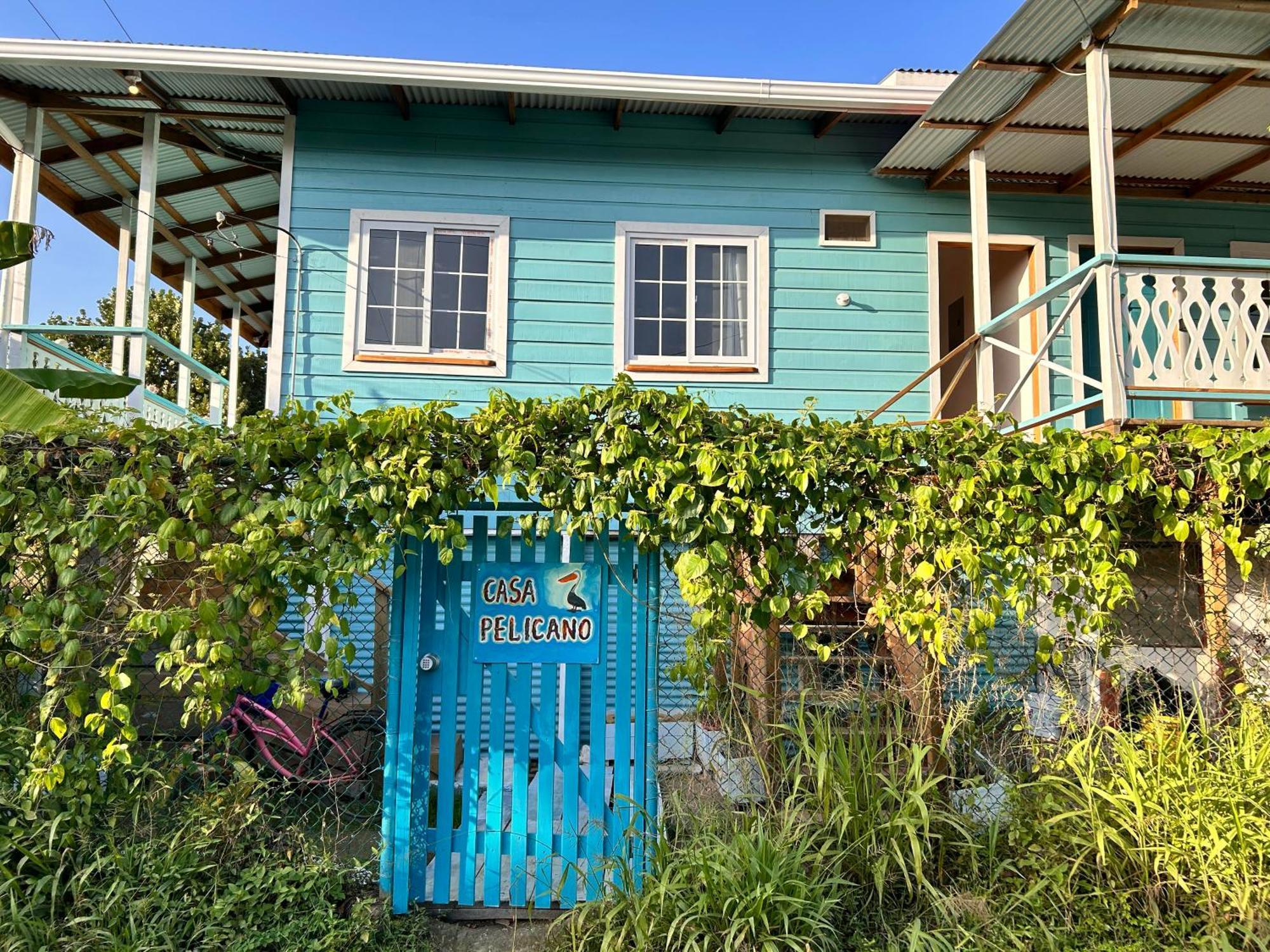Casa Pelicano Bocas del Toro Extérieur photo