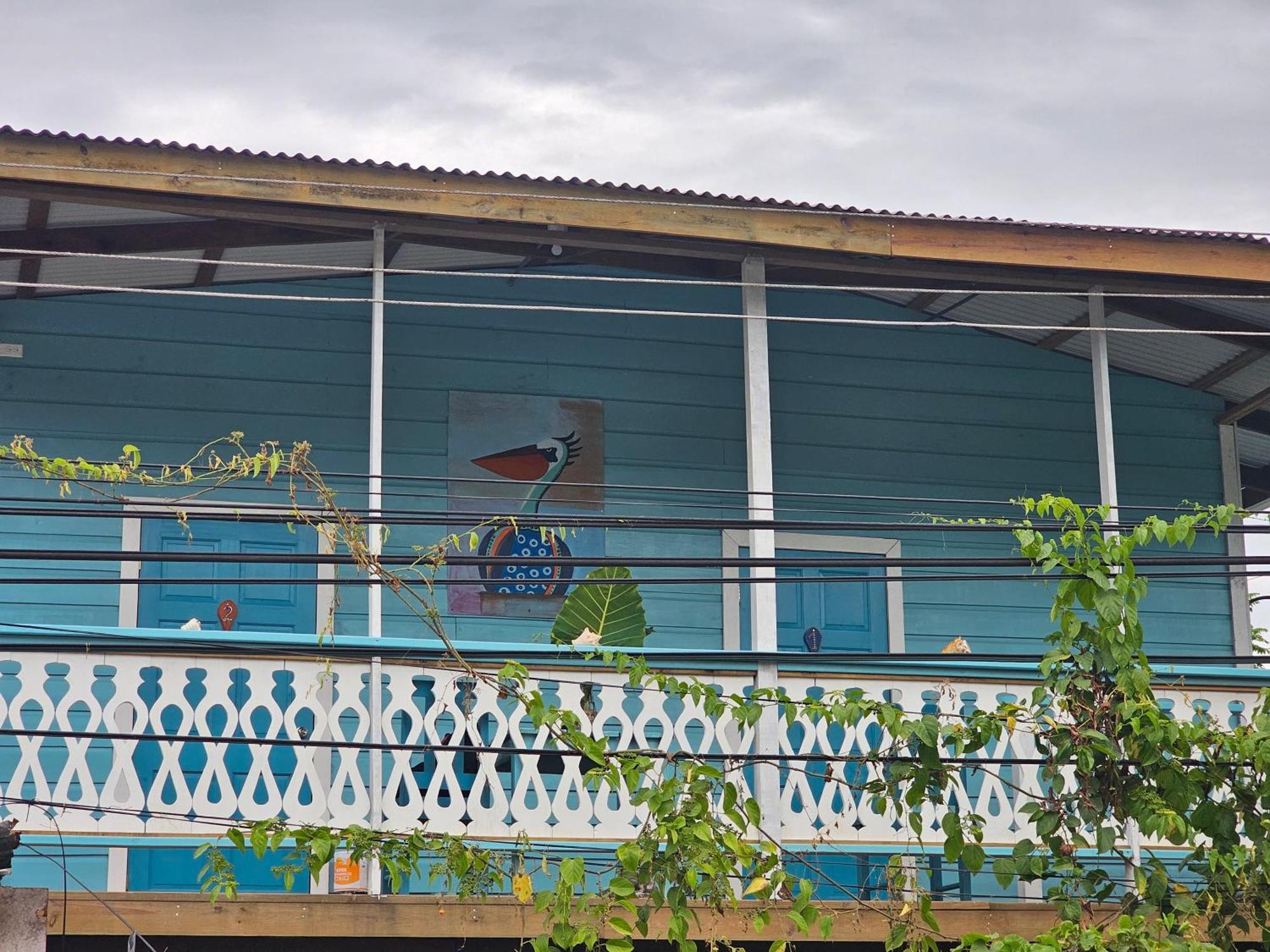 Casa Pelicano Bocas del Toro Extérieur photo